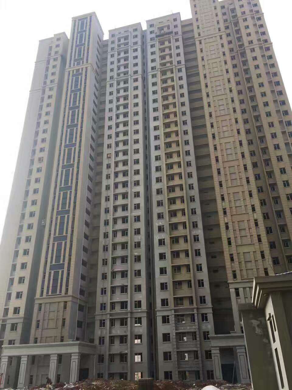 湖北武漢、天縱城項目